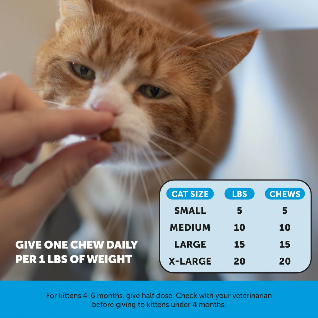 Pet Supplements product image 5