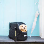 Convertible Soft-Sided Dog Carrier product image 5