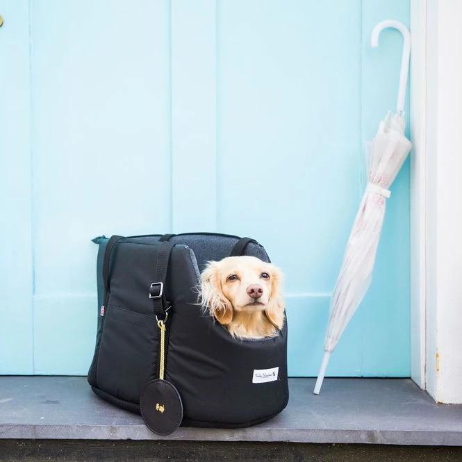 Convertible Soft-Sided Dog Carrier product image 5