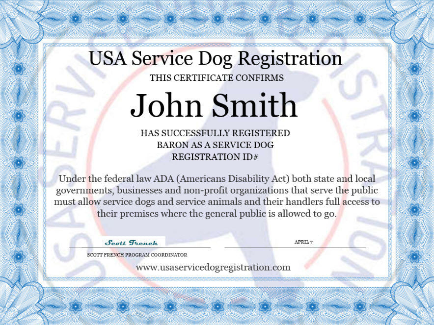 Service Dog Vest product image 5