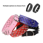 Dog Collar product image 5