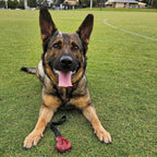 Dog Tug Toy product image 5