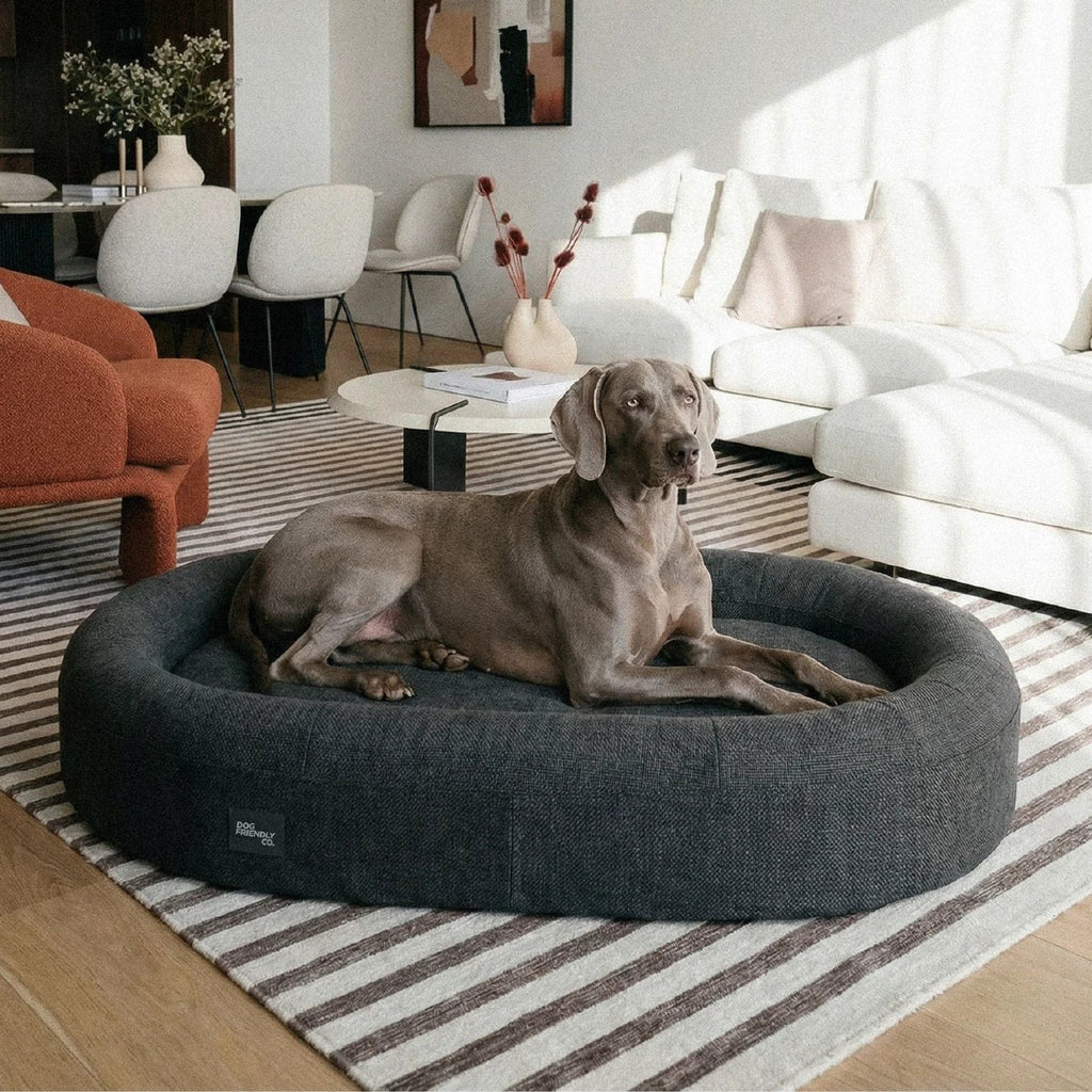 Memory Foam Dog Bed product image 5