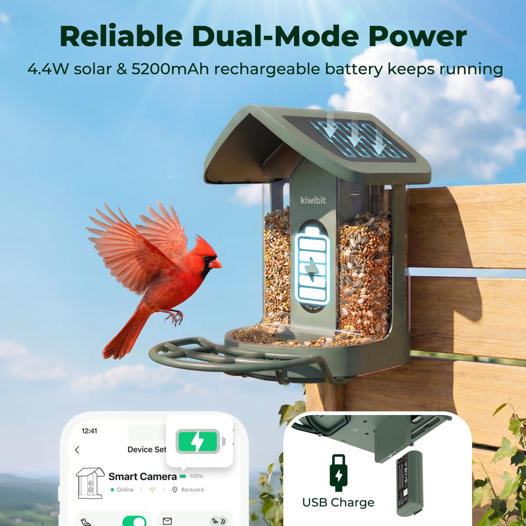 Smart Bird Feeder product image 5
