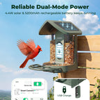 Smart Bird Feeder product image 5
