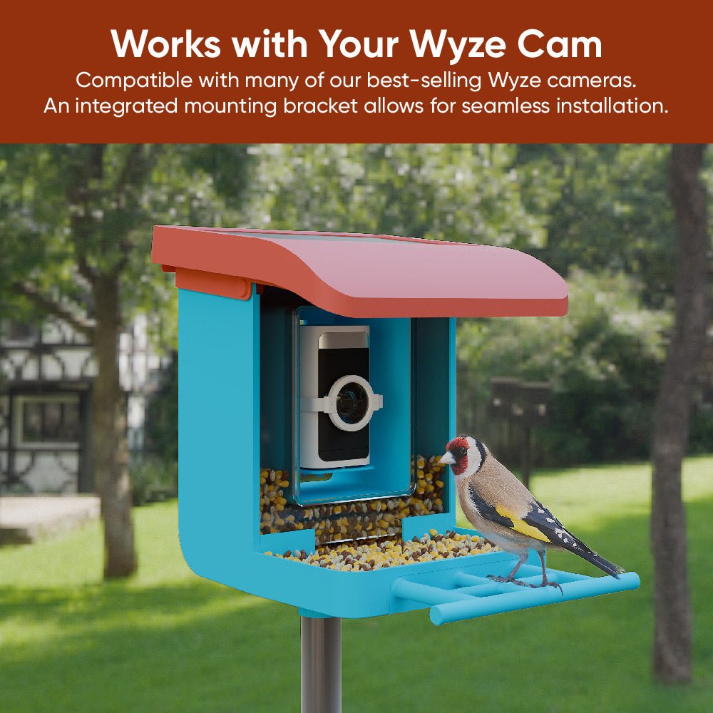 Bird Feeder product image 5