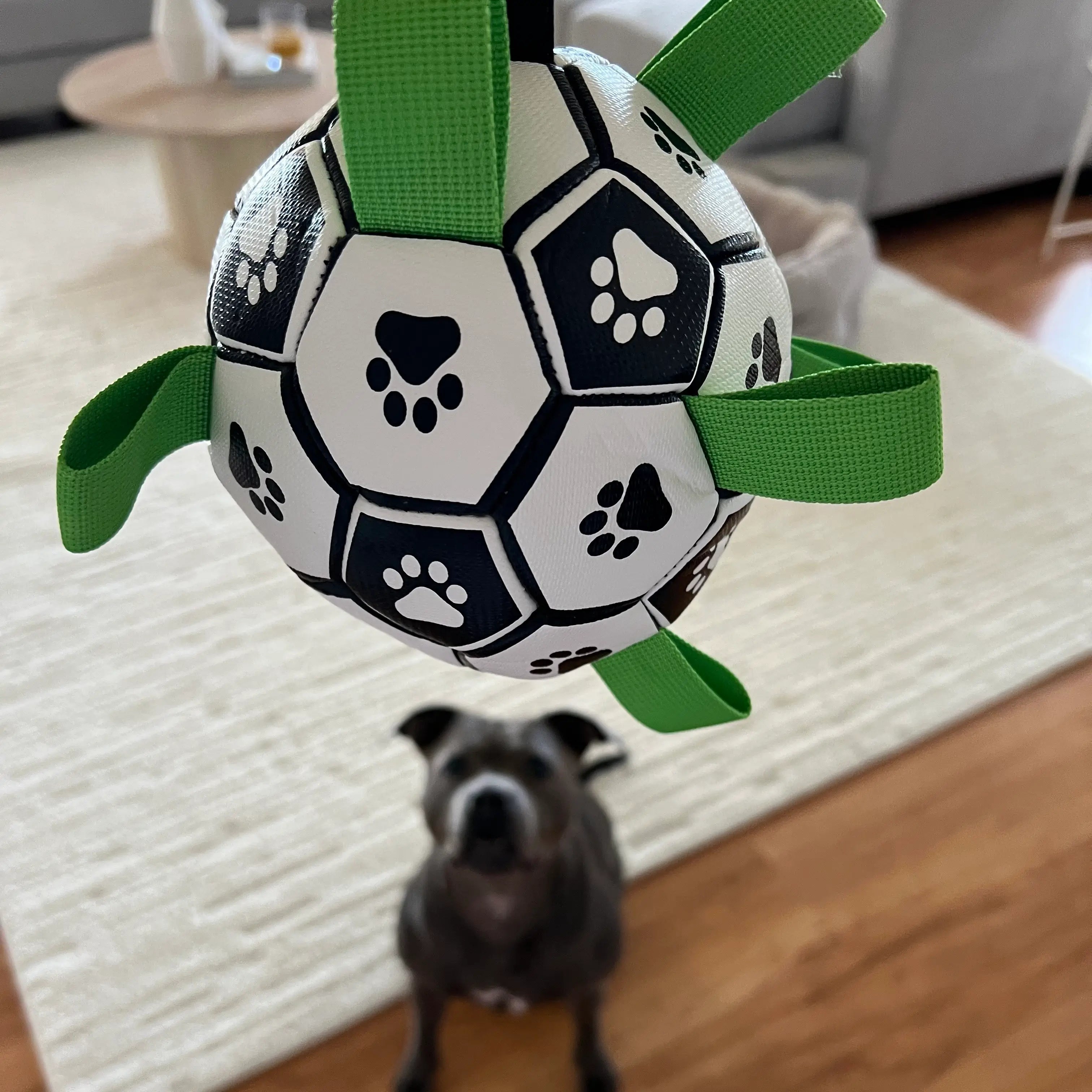 Soccer Ball Dog Toy with Tug Handles product image 5