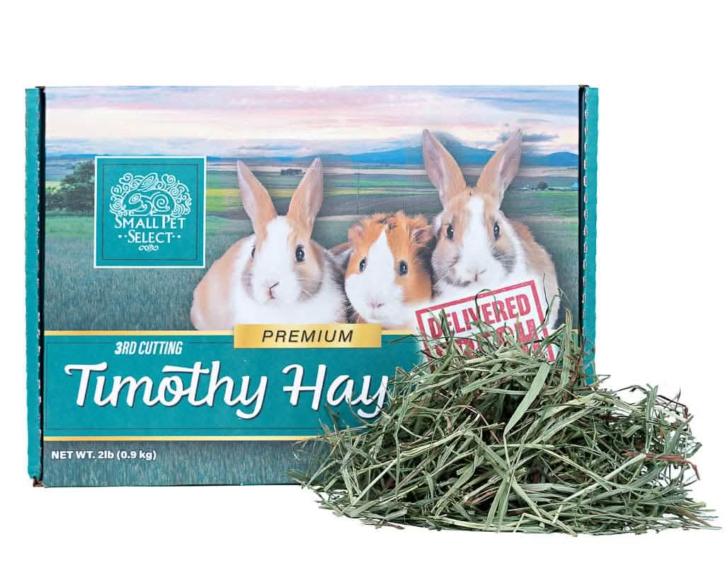 Small Pet Hay Box 3rd Cut Timothy