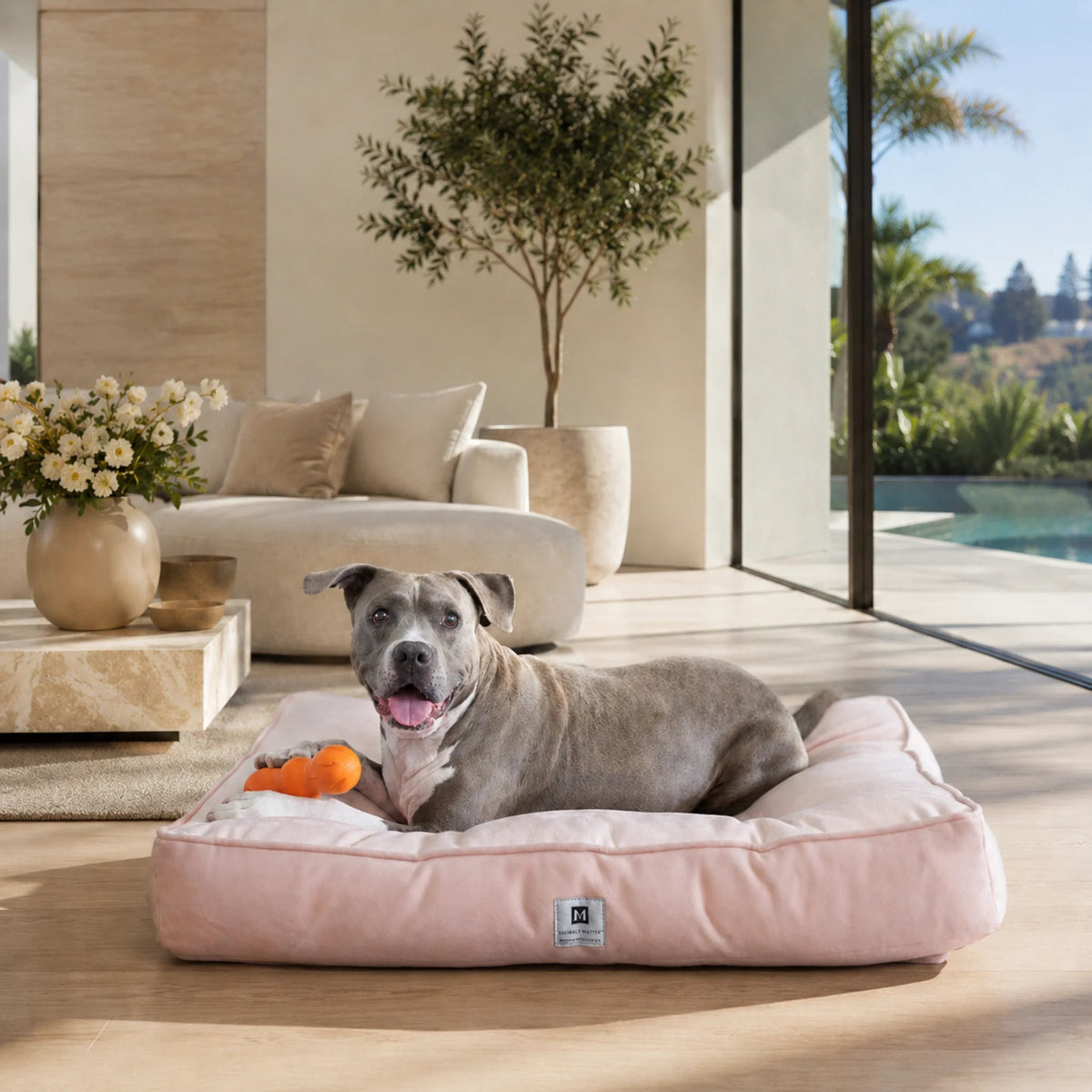Orthopedic Dog Bed product image 5