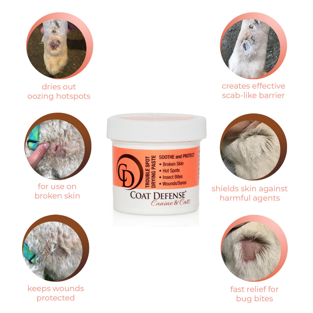 Dog Skin and Coat Care Bundle product image 5