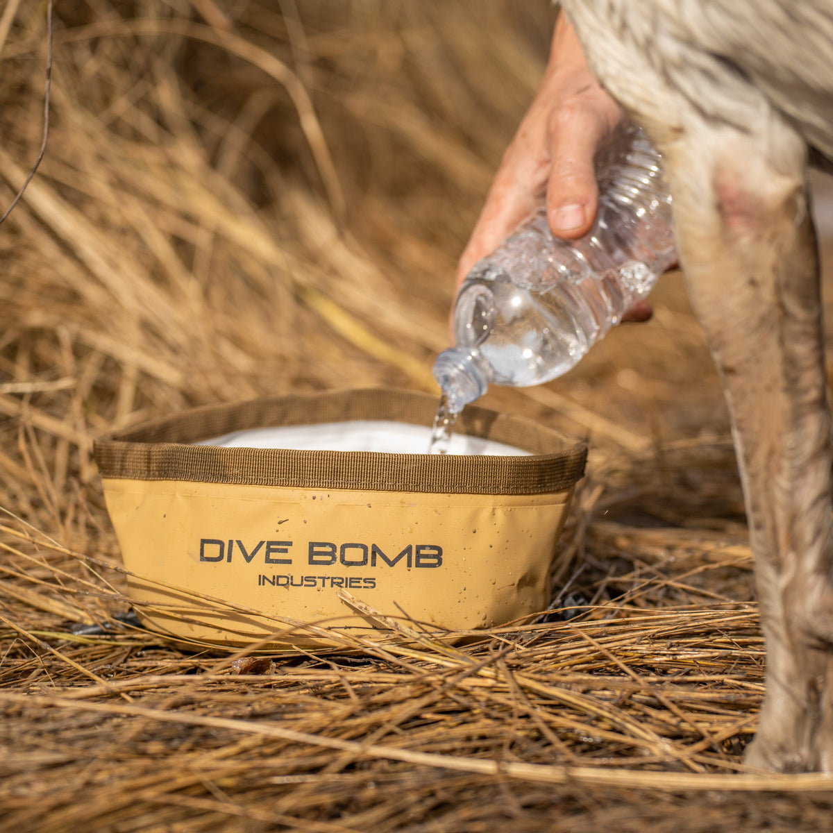 Collapsible Dog Bowl product image 5
