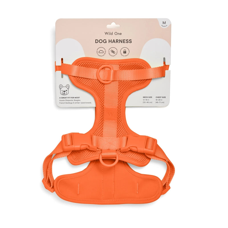 Dog Harness product image 5