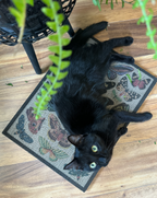 Cardboard Cat Scratching Board product image 5