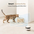 Pet Water Fountain product image 5