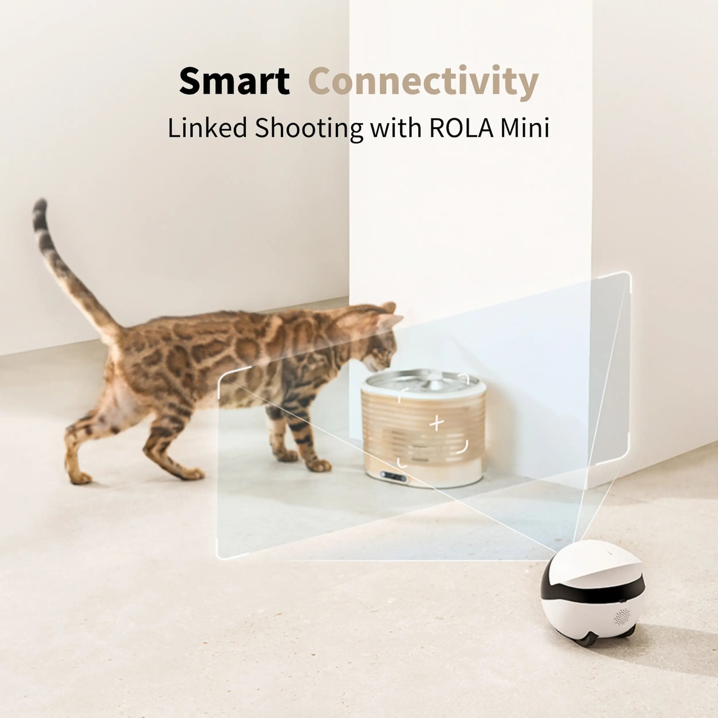 Pet Water Fountain product image 5