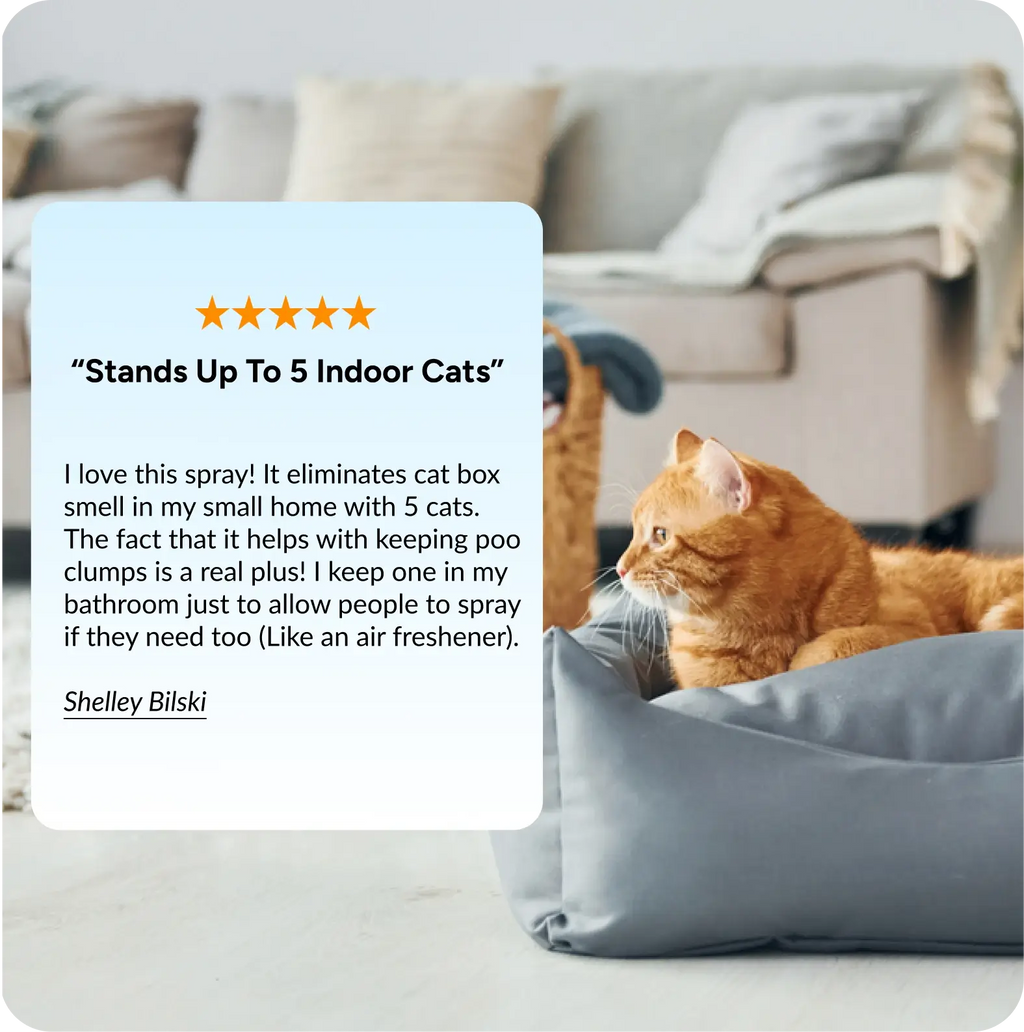 Cat Litter Deodorizer product image 5