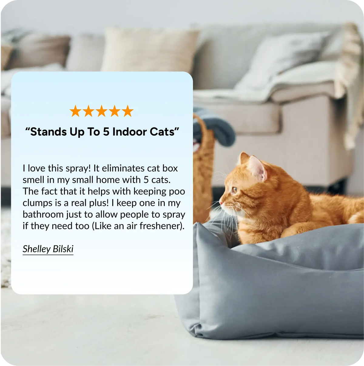 Cat Litter Deodorizer product image 5