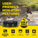 Dog Training Receiver product image 5