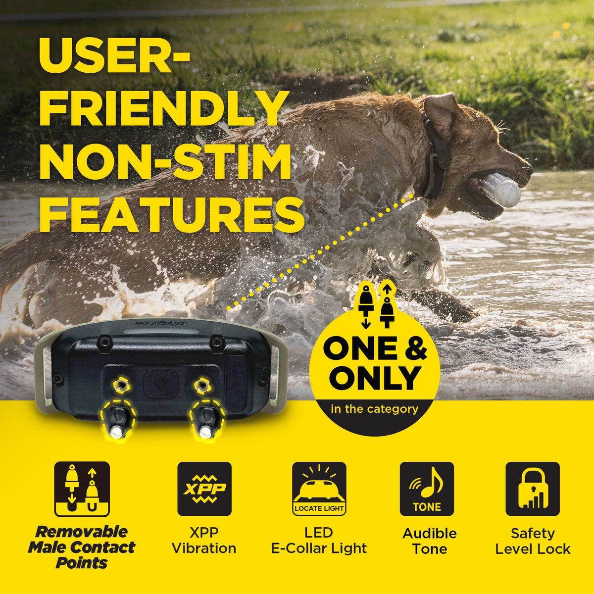 Dog Training Receiver product image 5