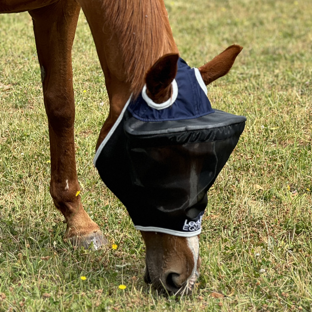 Horse Fly Mask product image 5