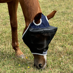 Horse Fly Mask product image 5