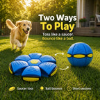 Transforming Pet Toy product image 5