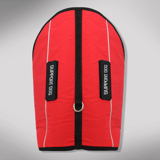 Emotional Support Dog Package product image 5