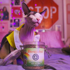 Catnip Mix product image 5
