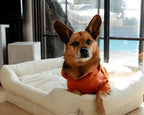 Orthopedic Dog Bed product image 5