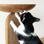 Cat Tree product image 5