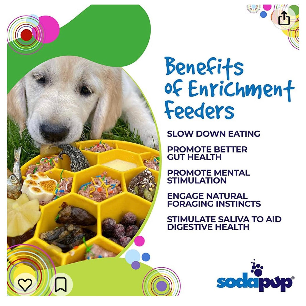 Slow Feeder Dog Bowl product image 5