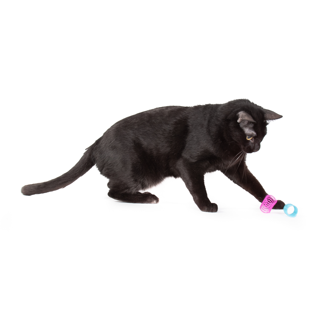 Bouncing Spring Cat Toys product image 5