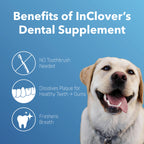 Dental Health Powder product image 5