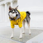 Dog Raincoat product image 5
