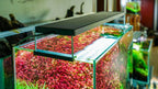 Planted Aquarium LED Light product image 5