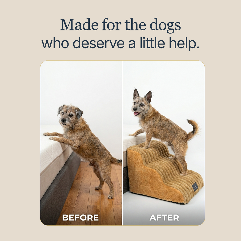 Dog Stairs product image 5