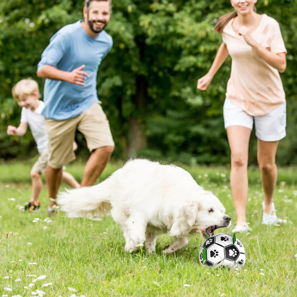 Dog Soccer Ball product image 5