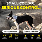 Dog Training Collar product image 5