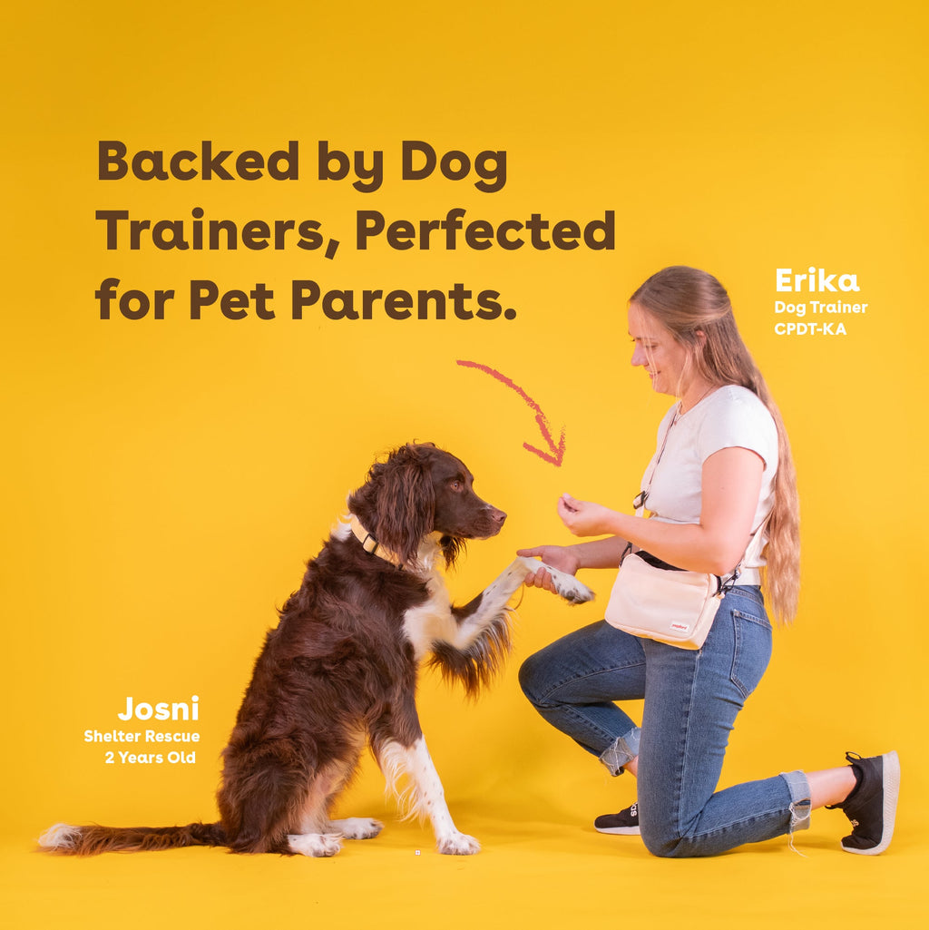 Dog Training Treat product image 5