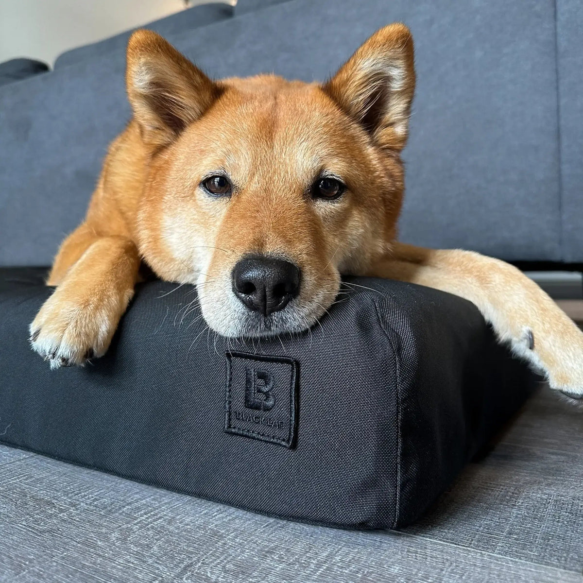 Orthopedic Dog Bed product image 5