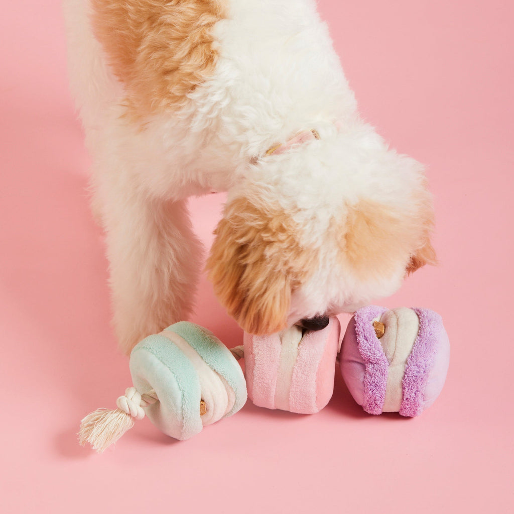 Macaron Snuffle Dog Toy product image 5