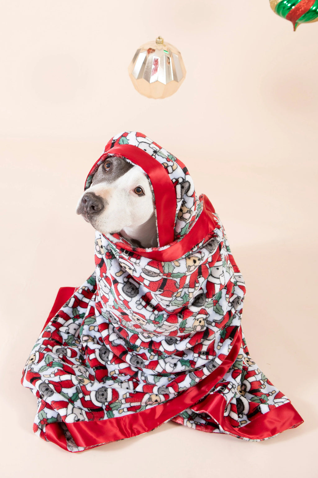 Pet Blanket product image 5
