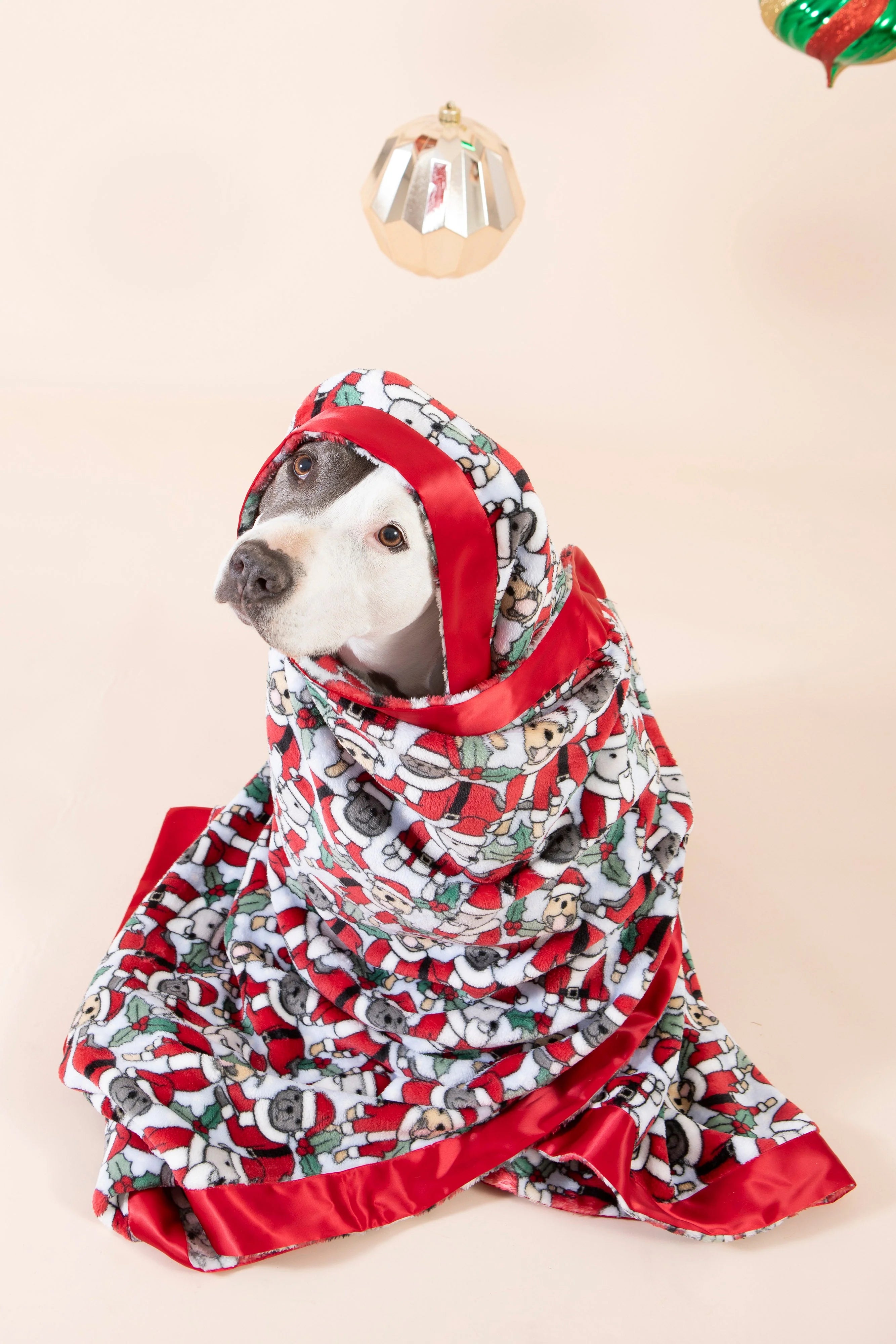 Pet Blanket product image 5