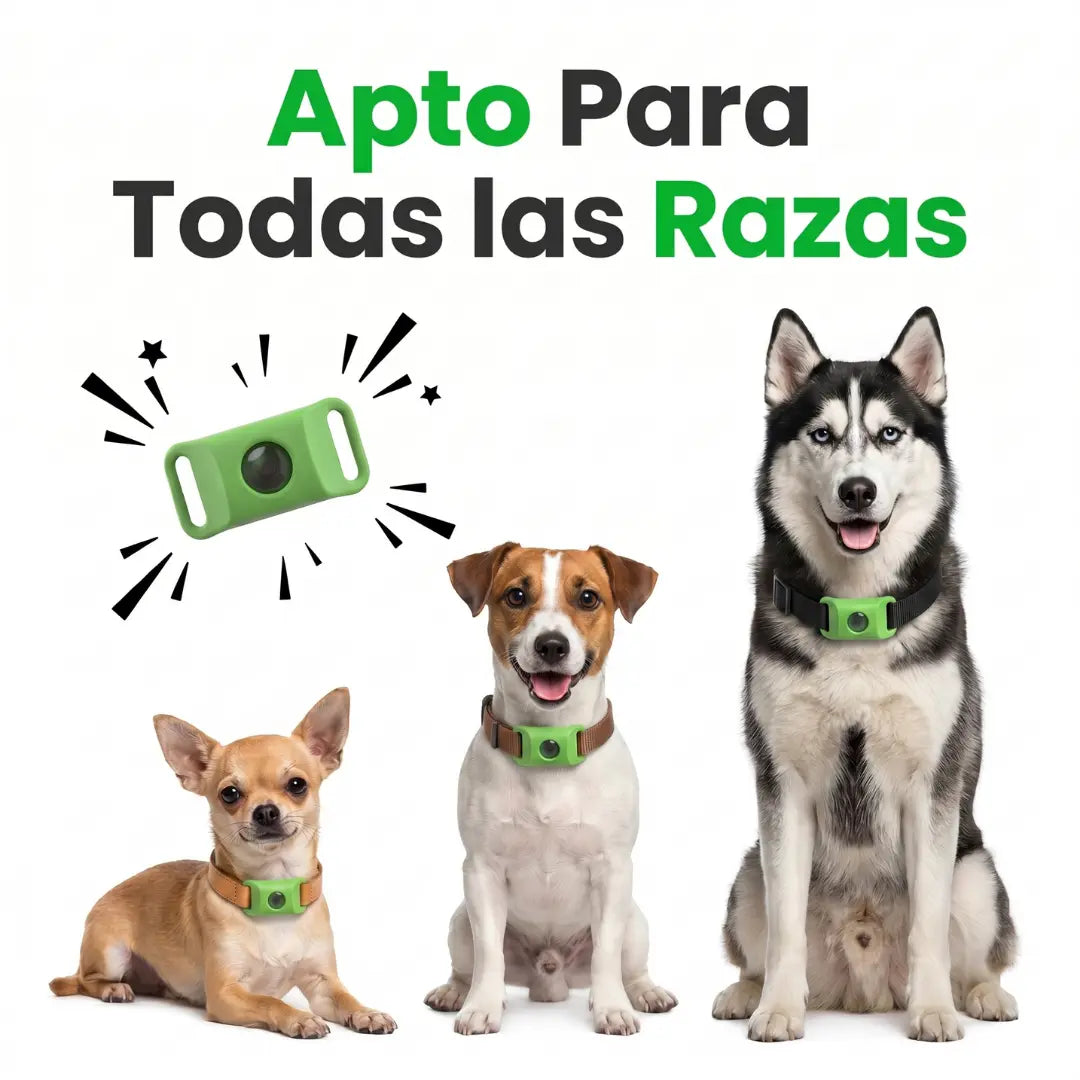 Flea and Tick Tag product image 5