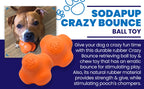 Rubber Dog Toy product image 5