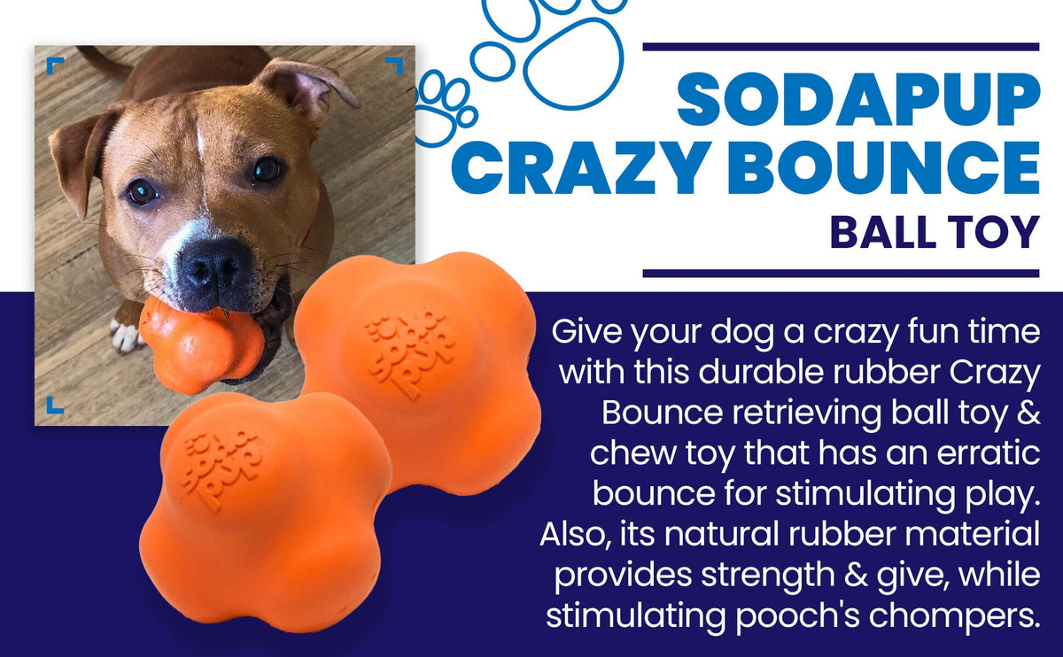 Rubber Dog Toy product image 5
