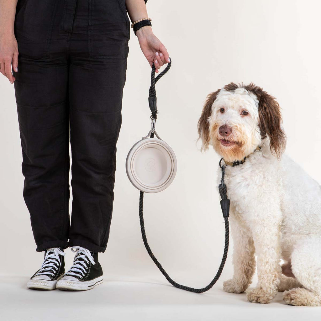Travel Dog Bowl product image 5