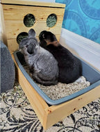 Small Animal Hay Feeder product image 5