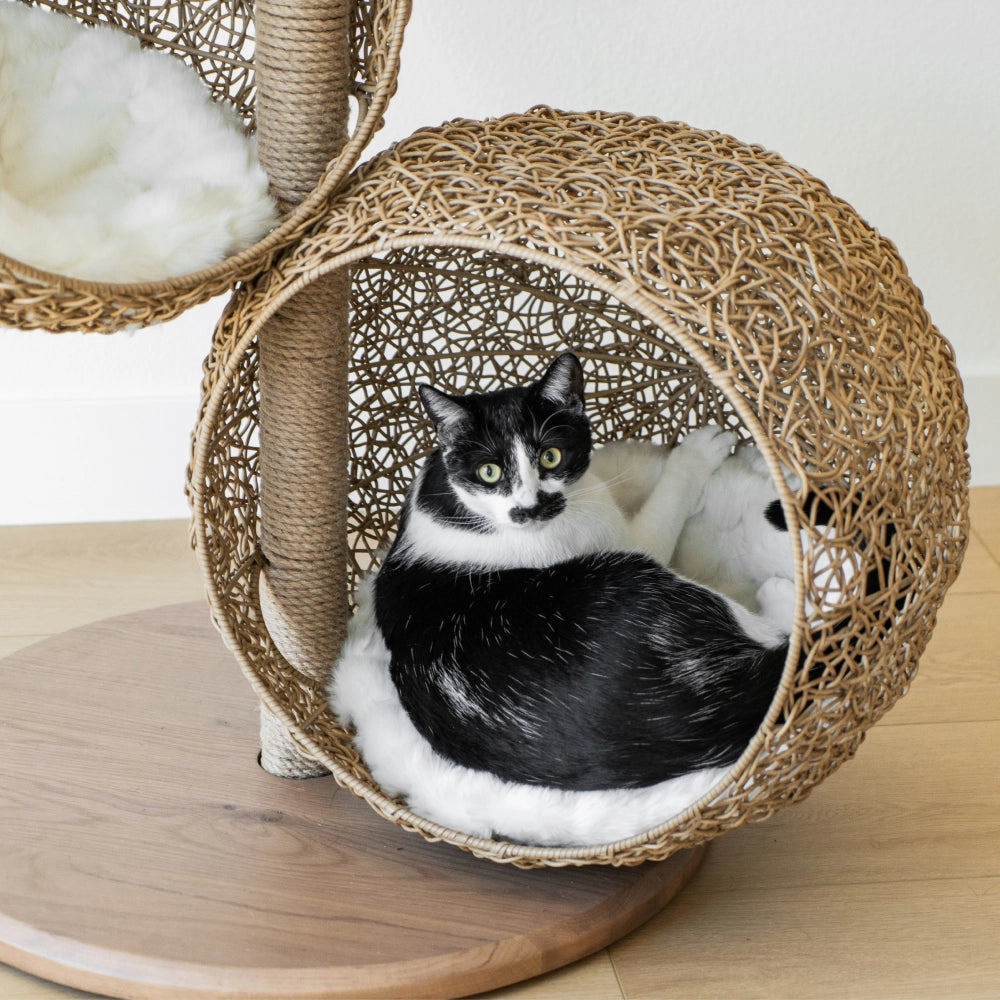 Three-Cave Rattan Cat Tree product image 5
