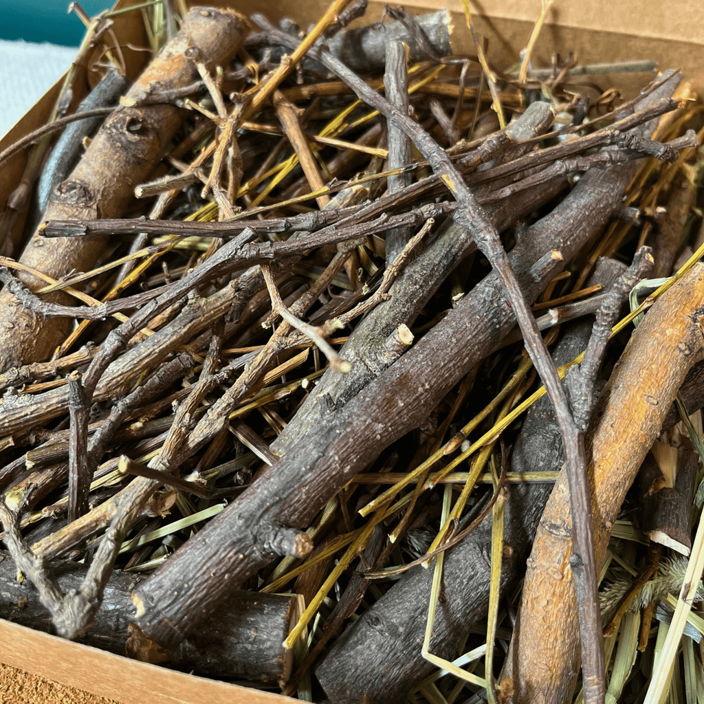 Rabbit Chew Sticks product image 5